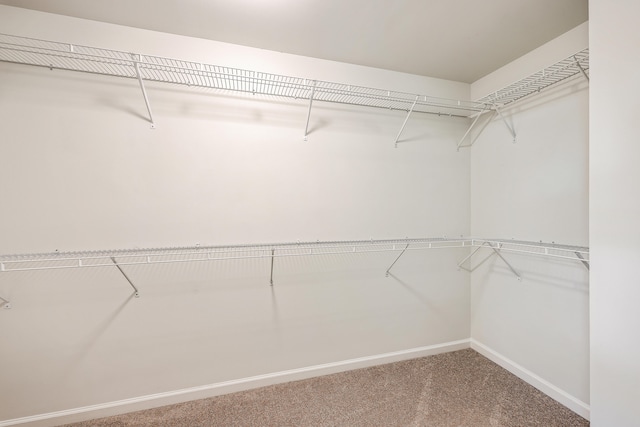 walk in closet featuring carpet