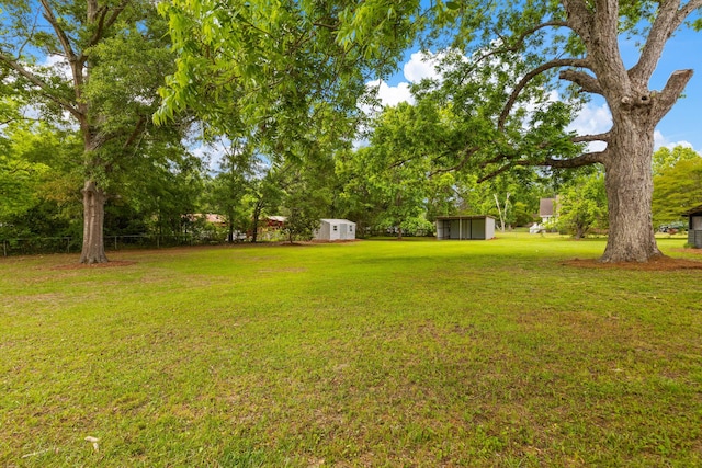 285 Roosevelt Dr, Saint Stephen, SC 29479 - view of green lawn with a storage shed, an outbuilding, and view of wooded area