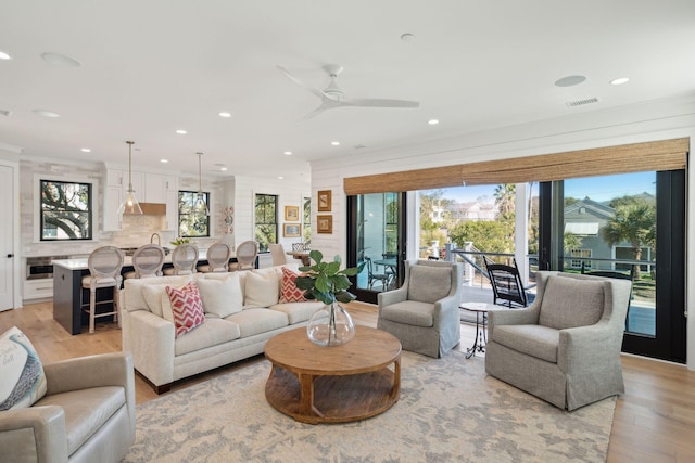 living room with light hardwood / wood-style floors and a wealth of natural light