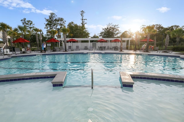 view of swimming pool with a patio