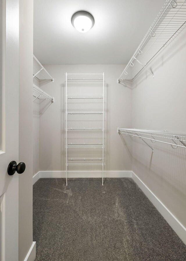 2960 Blackfish Rd, Johns Island, SC 29455 - walk in closet with carpet