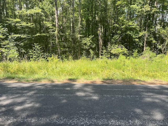 3670 Prices Bridge Ln, Walterboro, SC 29488