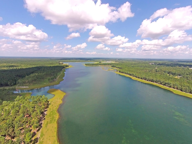drone / aerial view of a forest and a large body of water