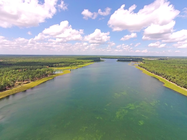 drone / aerial view of a forest and a nearby body of water