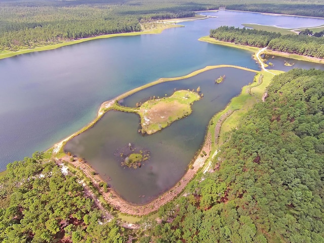aerial view of property's location with a forest and a large body of water