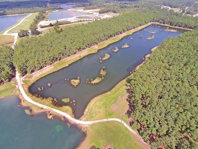 view of property location featuring a large body of water and a forest