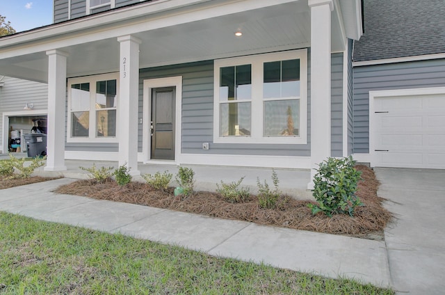 view of exterior entry featuring covered porch, roof with shingles, and concrete driveway