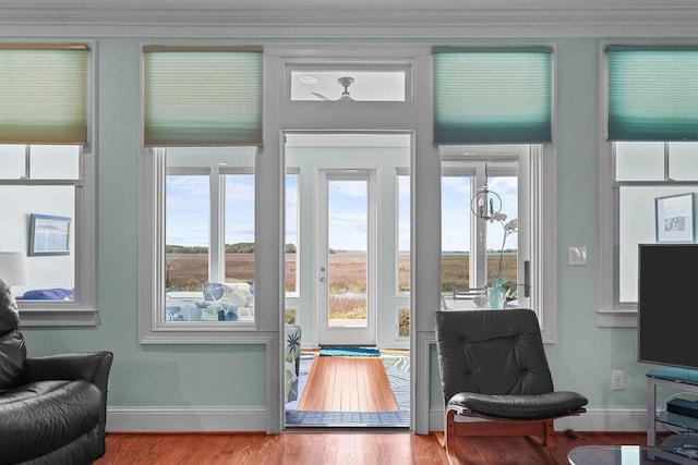 entryway with a healthy amount of sunlight, baseboards, and wood finished floors