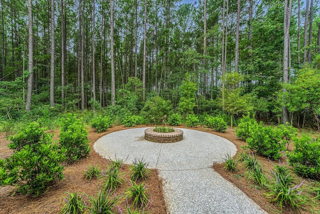 view of patio / terrace featuring curved driveway and a view of trees