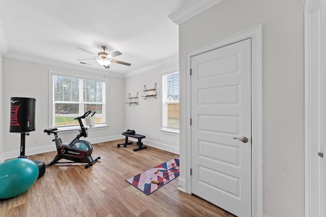 workout area featuring baseboards, ceiling fan, wood finished floors, and crown molding