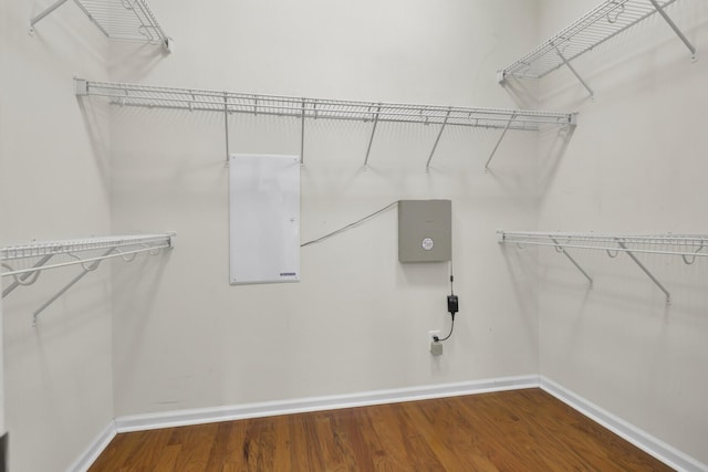 walk in closet featuring hardwood / wood-style flooring