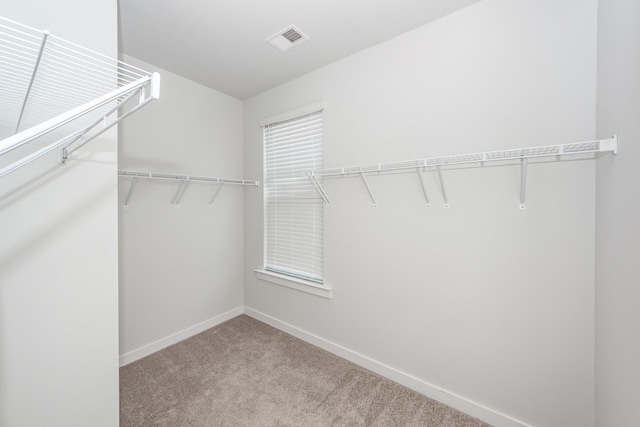 spacious closet featuring visible vents and carpet