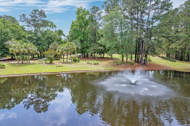 7955 Timbercreek Ln Unit 1807, North Charleston, SC 29418 - water view with a tree filled landscape