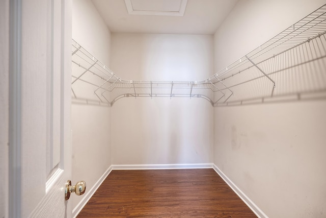 walk in closet featuring hardwood / wood-style flooring