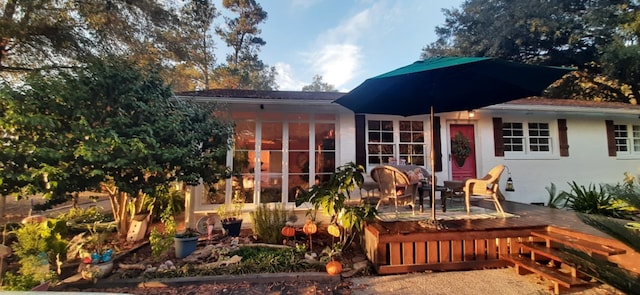 back of property with stucco siding and a sunroom