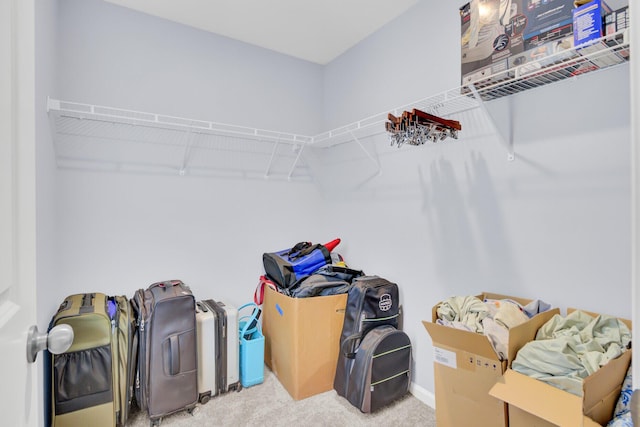 walk in closet featuring carpet floors