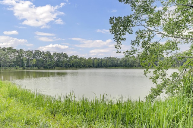 view of water feature with a wooded view