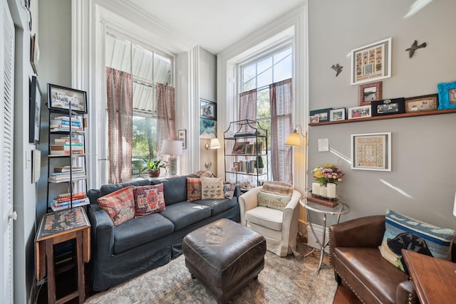 sitting room featuring a wealth of natural light