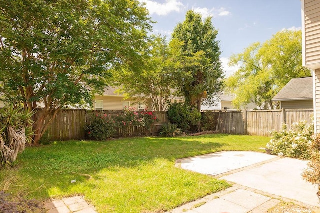 view of yard with a patio and a fenced backyard