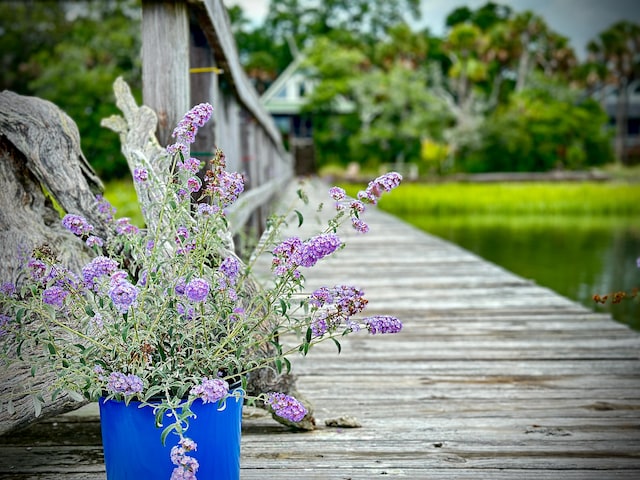 view of dock