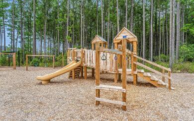 view of jungle gym