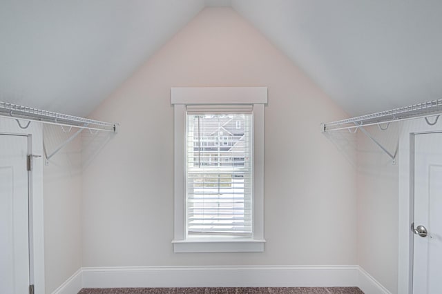 spacious closet featuring carpet and lofted ceiling