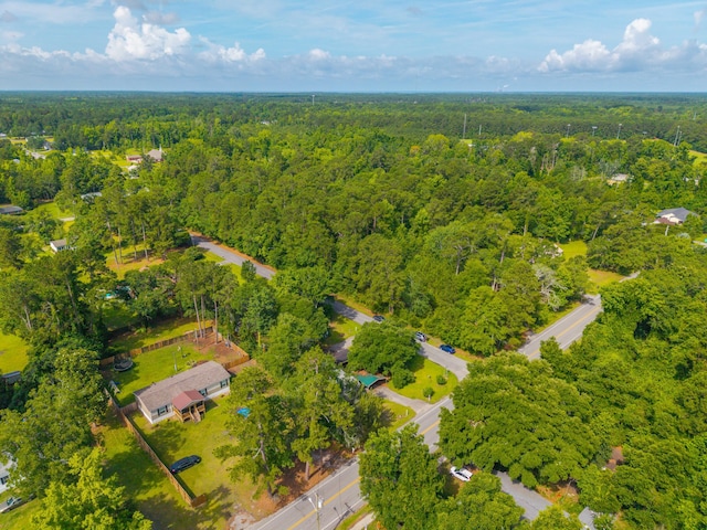 145 Ravenell Dr, Saint Stephen, SC 29479 - bird's eye view of a heavily wooded area
