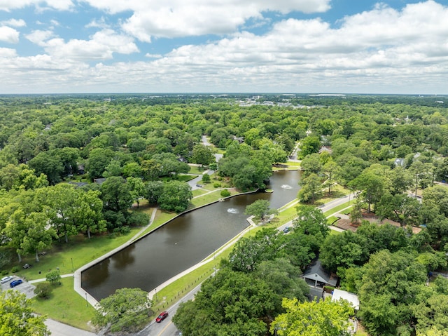 1423 Bexley St, North Charleston, SC 29405 - aerial view featuring a water view and a forest view