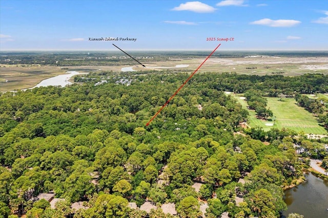 1025 Scaup Ct, Kiawah Island, SC 29455 - drone / aerial view of a nearby body of water and a forest