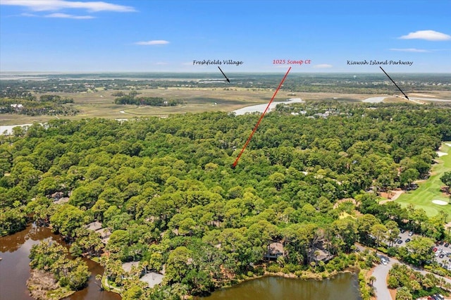 1025 Scaup Ct, Kiawah Island, SC 29455 - drone / aerial view of a large body of water and a heavily wooded area