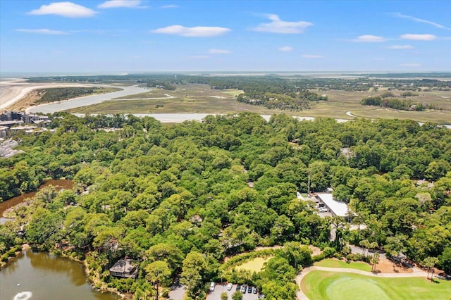 1025 Scaup Ct, Kiawah Island, SC 29455 - drone / aerial view of a large body of water
