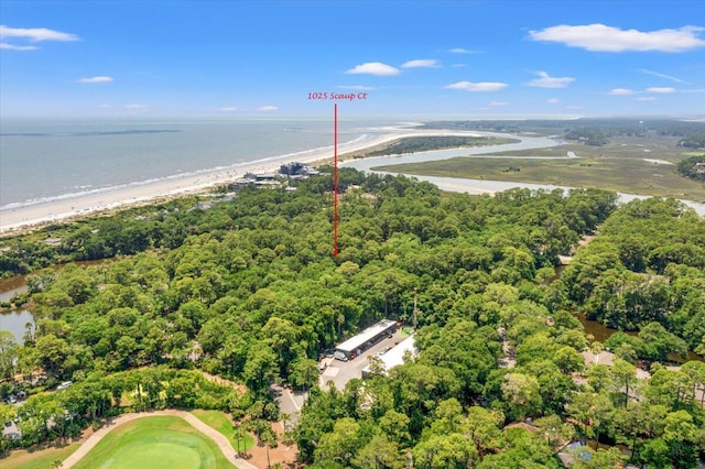 1025 Scaup Ct, Kiawah Island, SC 29455 - bird's eye view of a large body of water
