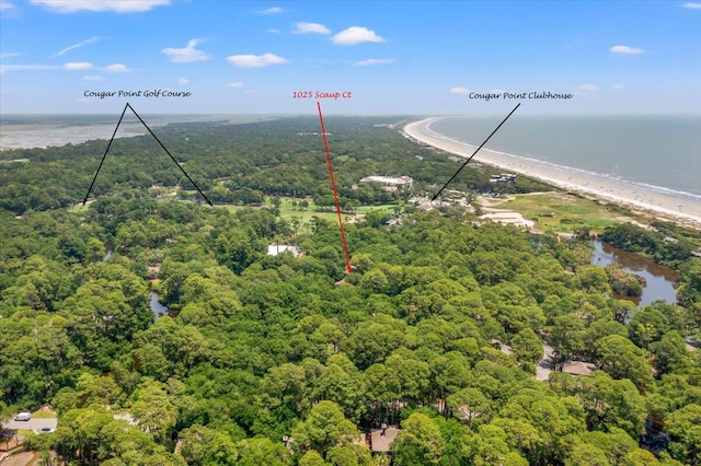 1025 Scaup Ct, Kiawah Island, SC 29455 - drone / aerial view of a forest and a large body of water