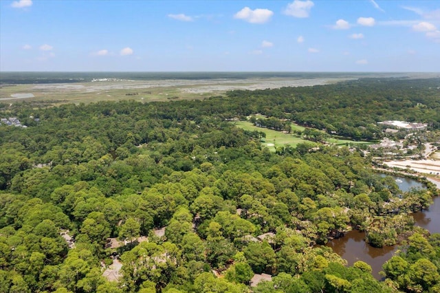 1025 Scaup Ct, Kiawah Island, SC 29455 - aerial view of a heavily wooded area and a large body of water