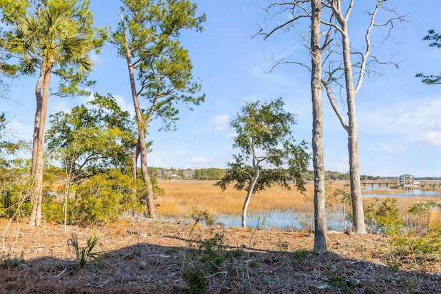 view of yard with a water view