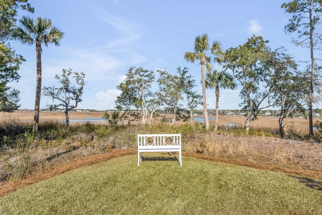 view of yard with a rural view