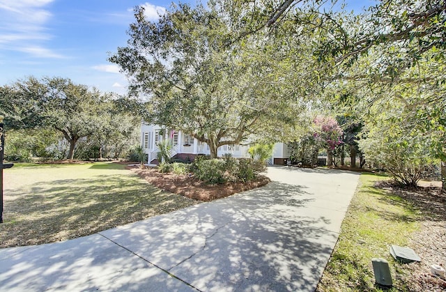 obstructed view of property with concrete driveway and a front lawn