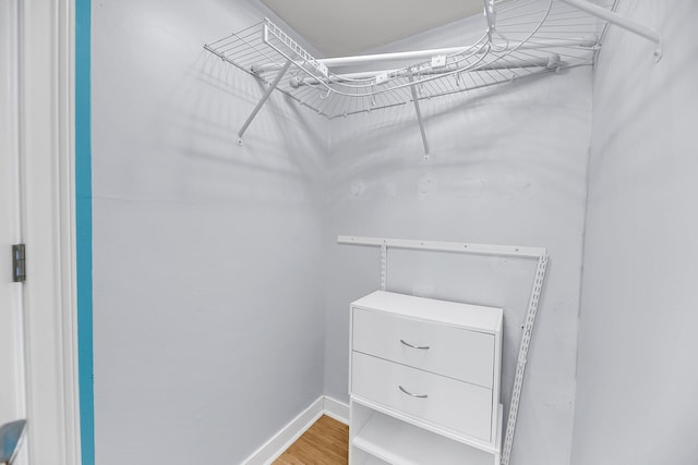 spacious closet featuring light wood finished floors