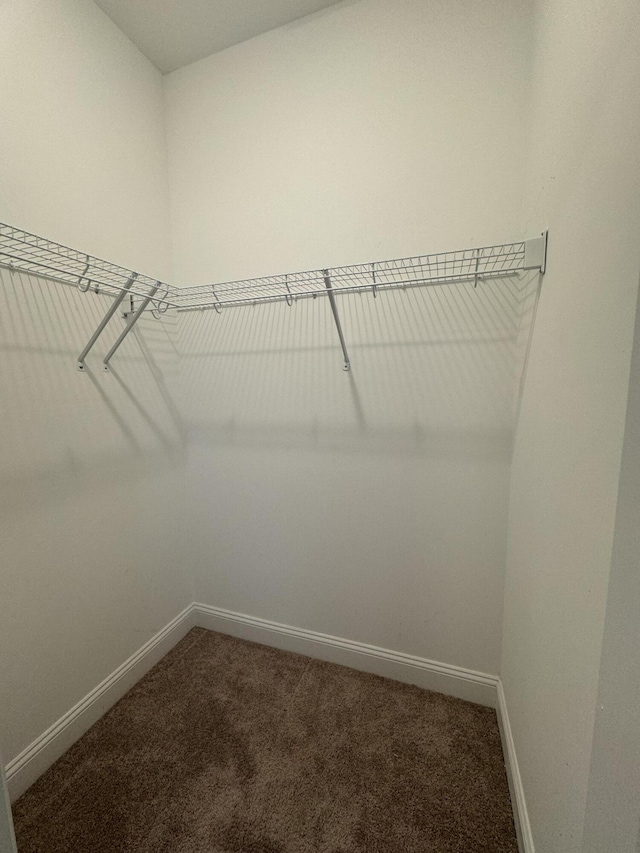 spacious closet featuring dark carpet