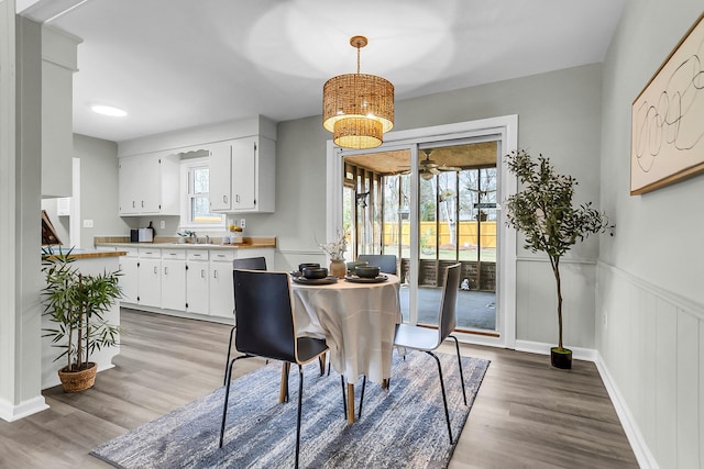 dining area featuring light wood-style flooring, a ceiling fan, and wainscoting