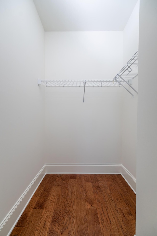 spacious closet featuring hardwood / wood-style flooring