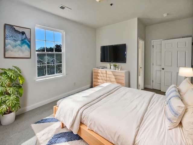 bedroom with a closet and carpet flooring