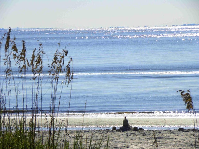 837 Club Cottage Rd, Edisto Island, SC 29438 - water view with nearby beach