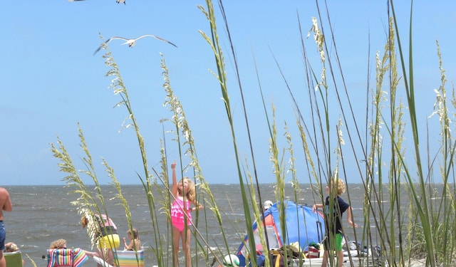837 Club Cottage Rd, Edisto Island, SC 29438 - exterior space with a water view