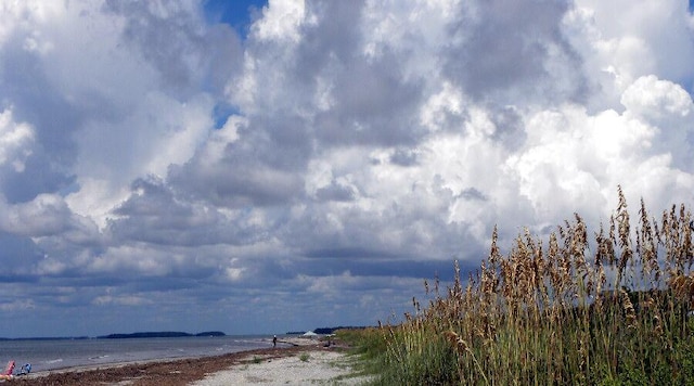 837 Club Cottage Rd, Edisto Island, SC 29438 - water view featuring nearby beach