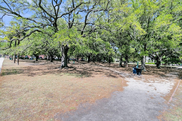 view of community