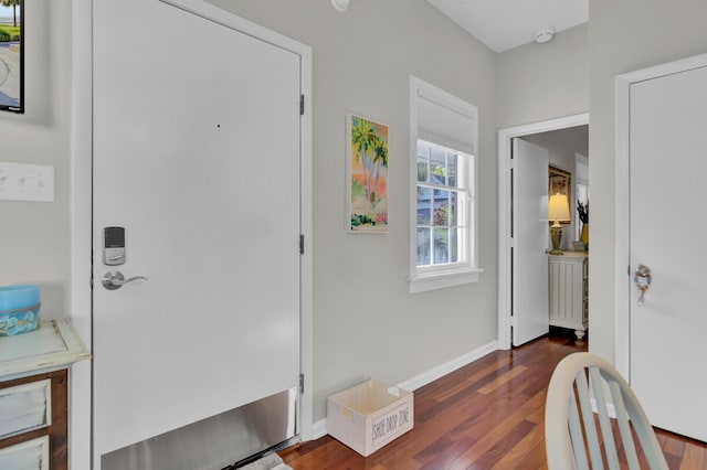 foyer featuring dark wood-type flooring