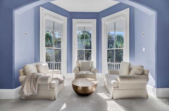 sitting room featuring carpet floors