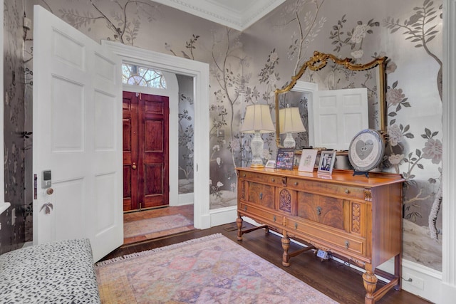 foyer with dark hardwood / wood-style floors and ornamental molding