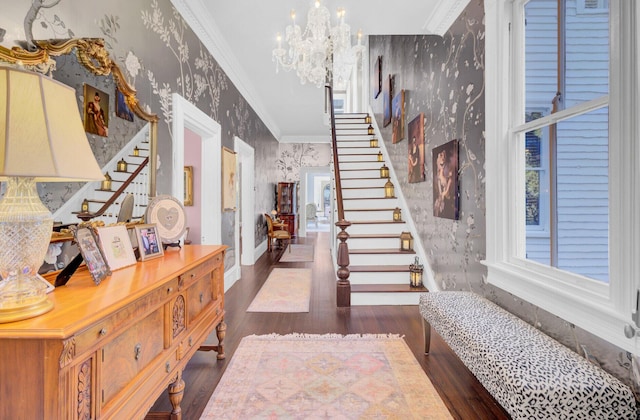 foyer entrance featuring a chandelier, dark wood-type flooring, and ornamental molding